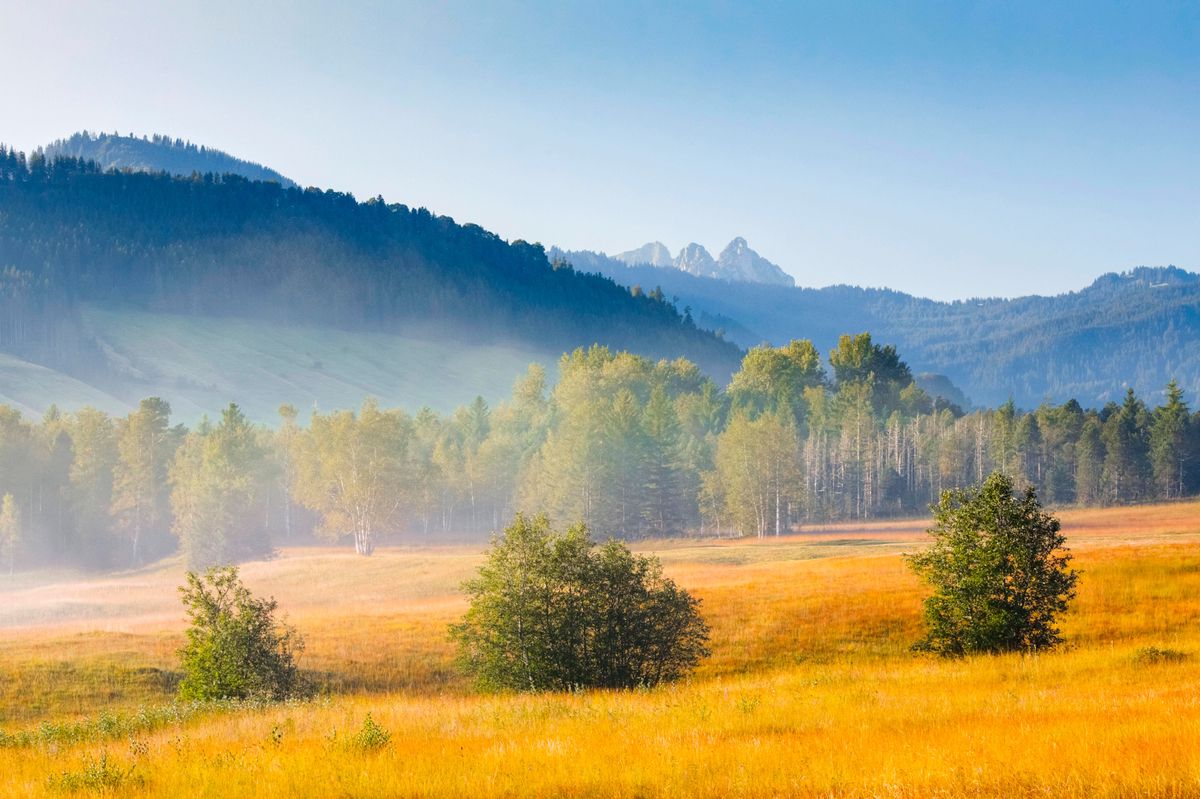 Vue sur la tourbière automnale de Rothenthurm avec les sommets des Mythen en arrière-plan en Suisse.