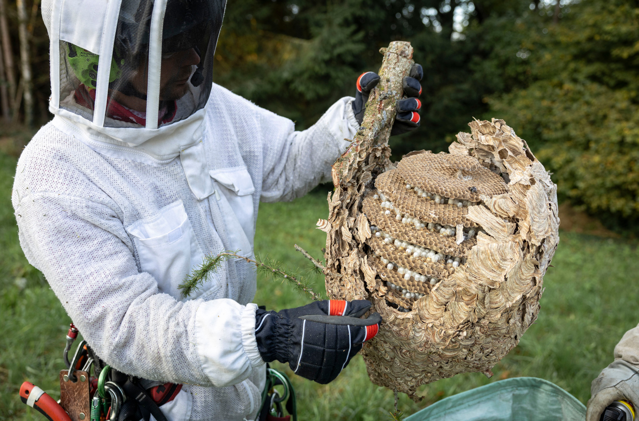 17. November 2025: Das Wichtigste des Tages | Tages-Anzeiger