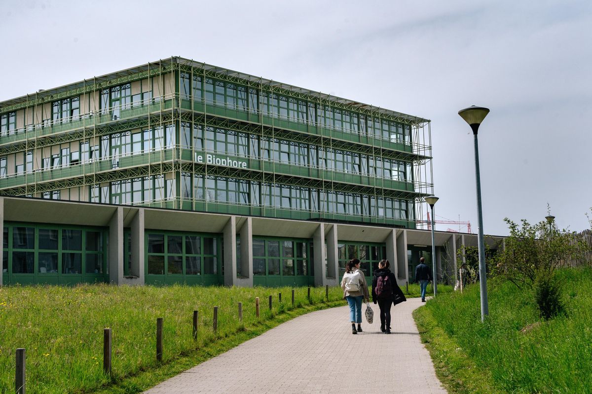 A l’Unil, 67% du personnel académique est engagé avec une contrat à durée déterminée. En omettant les professeurs, largement stables, le corps intermédiaire est précaire à 83%. Parmi les doctorants, 40% réalisent une thèse sans avoir de contrat rémunéré.