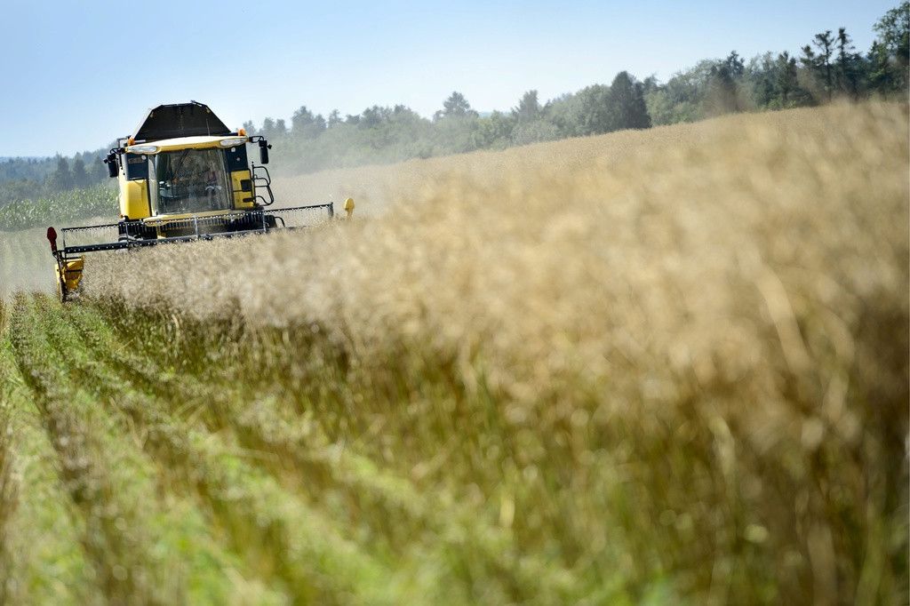 Un agriculteur moissonne a l' aide de sa machine agricole moissonneuse-batteuse un champ de colza ce lundi 5 aout 2013 a Baulmes, Vaud. (KEYSTONE/Laurent Gillieron)