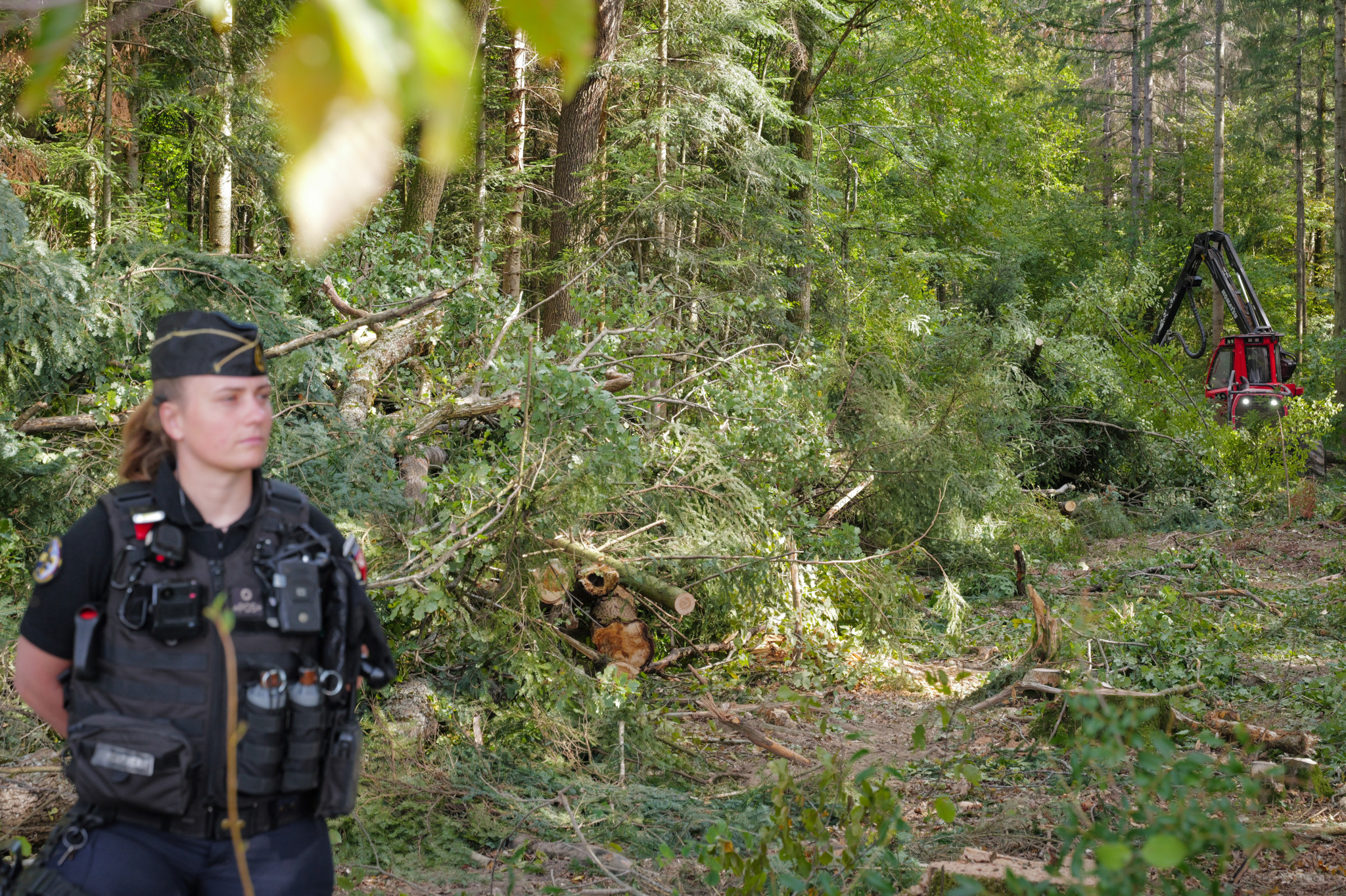 Chantier de l’A412: La trouée dans la forêt du Chablais français se poursuit malgré les oppositions