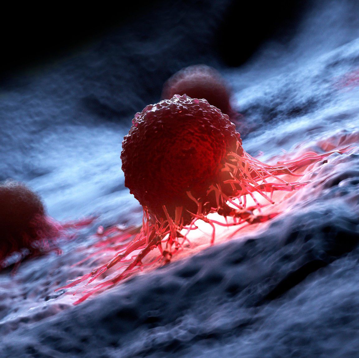 Illustration d’une cellule cancéreuse humaine.