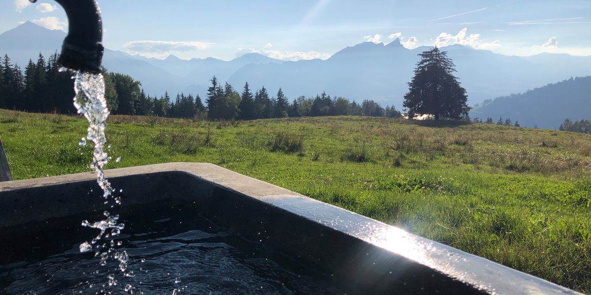 Ein Brunnen auf der Endorfallmi in Sigriswil.