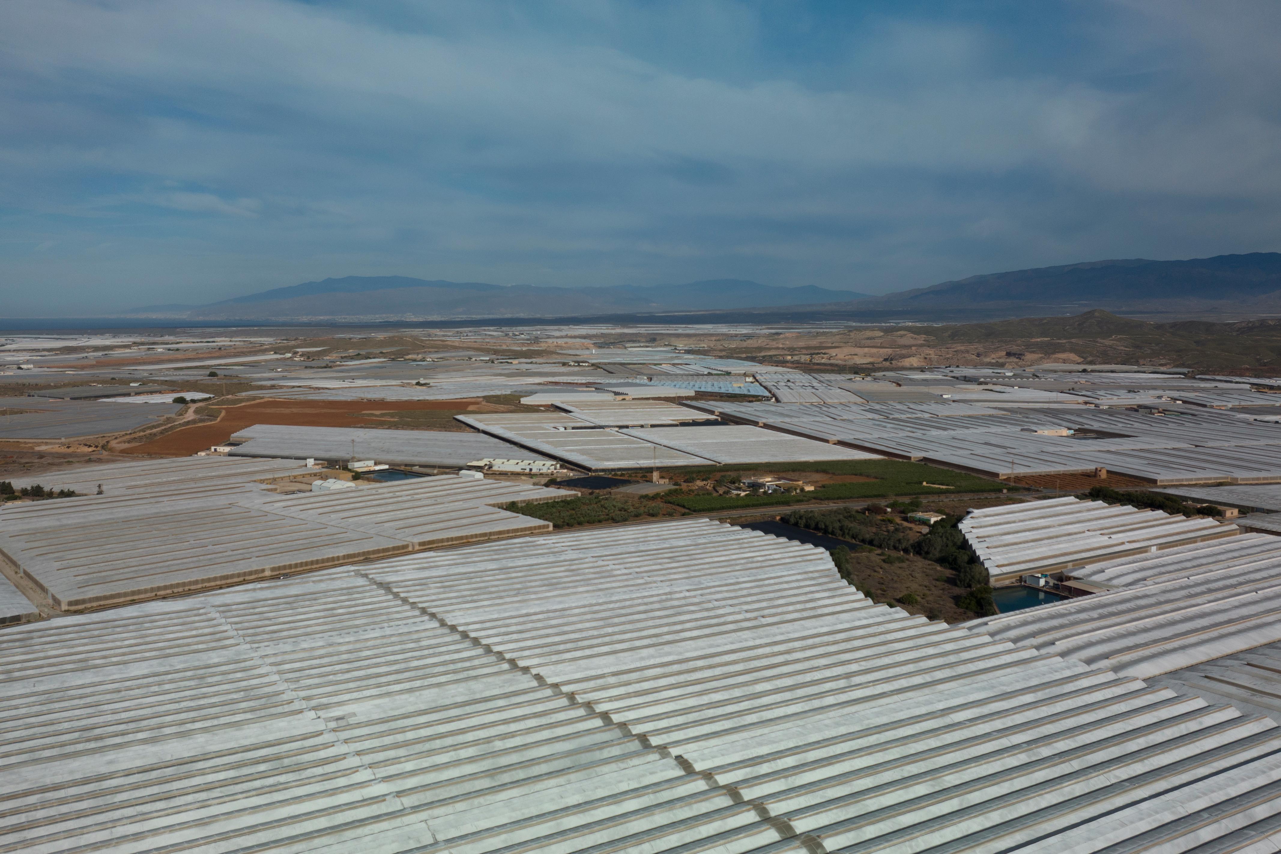 Tomaten aus Spanien: Europas Gemsegarten trocknet aus