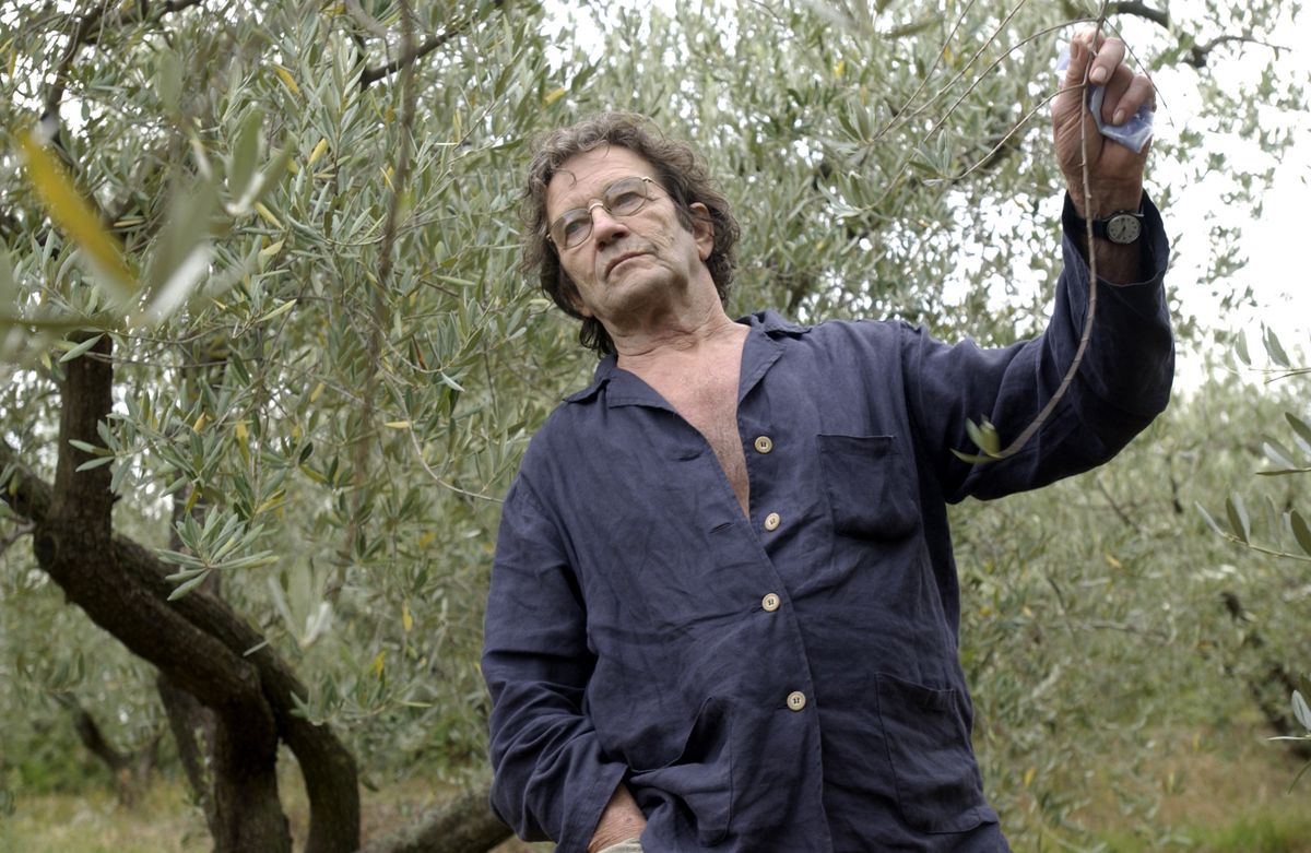 Pierre Rieben, membre fondateur de la ligue marxiste révolutionnaire, cultivateur d'olives, ici, au milieu de ses oliviers.