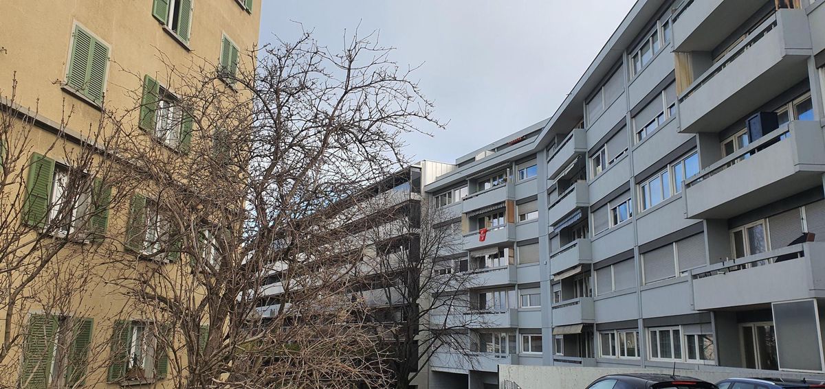 Des Carougeois se mobilisent contre une antenne 5G