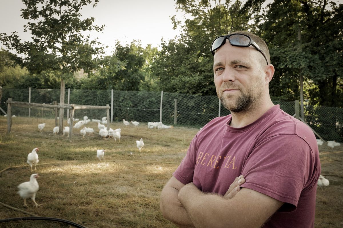 Au Domaine du Nant-d’Avril, à Satigny, Yves Grolimund élève des poules fermières pour des chefs étoilés, et de la volaille pour la grande distribution.
