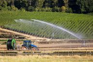 Ernährungsinitiative: Der Geschmack der Bevölkerung lässt sich nicht per Gesetz lenken