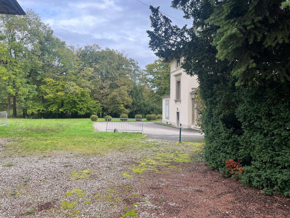 Vue d'un jardin avec une pelouse verte, des arbres feuillus et un chemin menant à une maison beige.