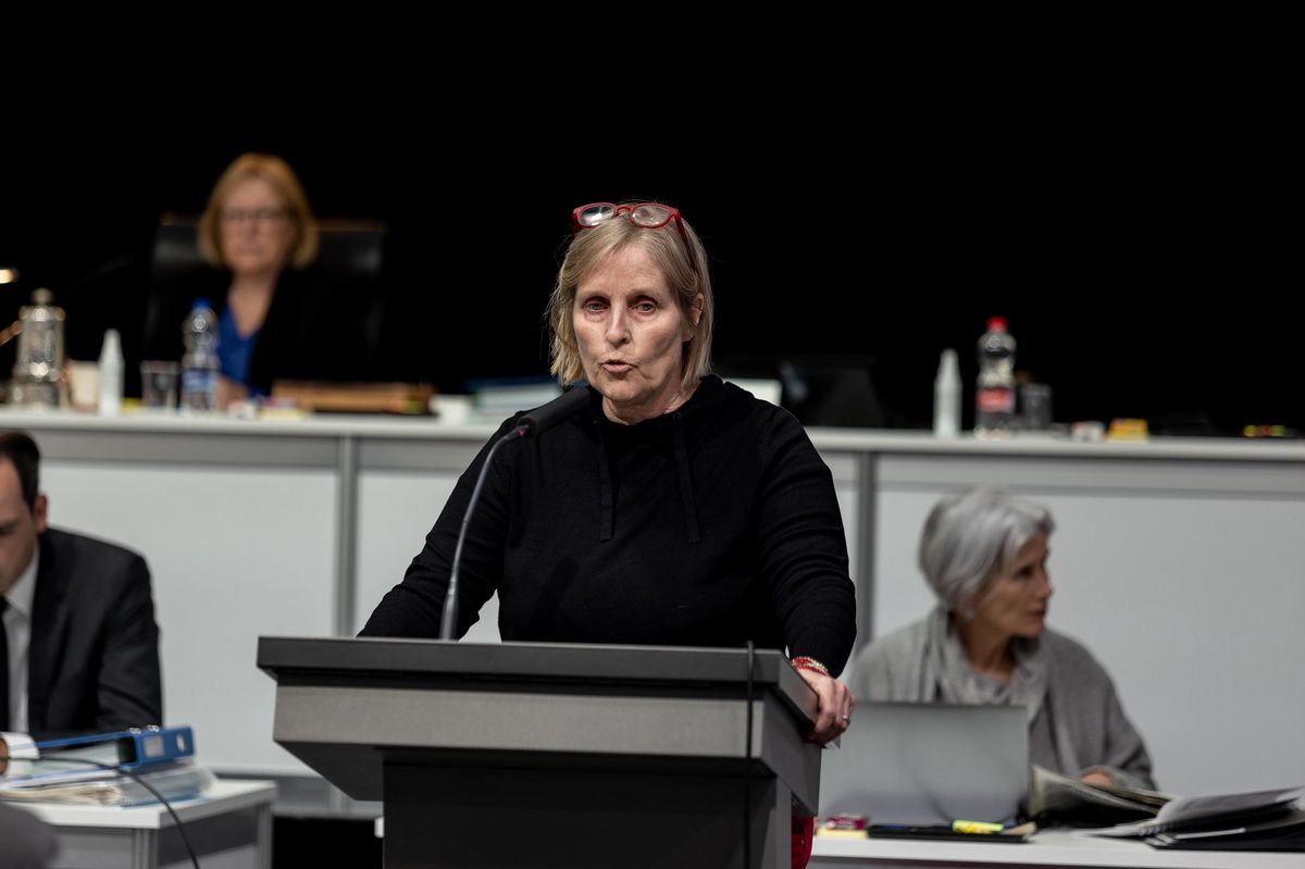 Gemeinden sollen Zürcher Bäume schützen Klimaallianz hält auch ohne