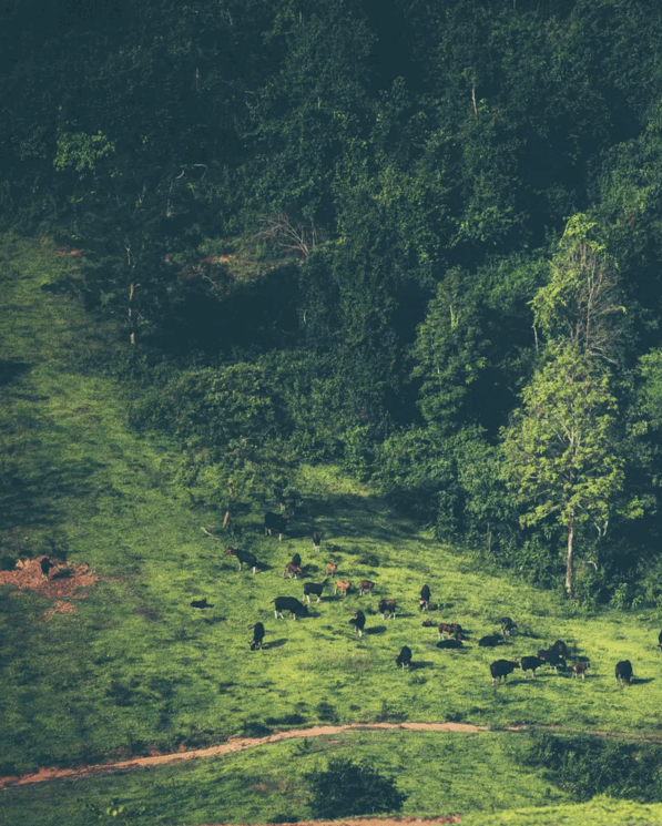 Cropped with ezgif.com GIF maker