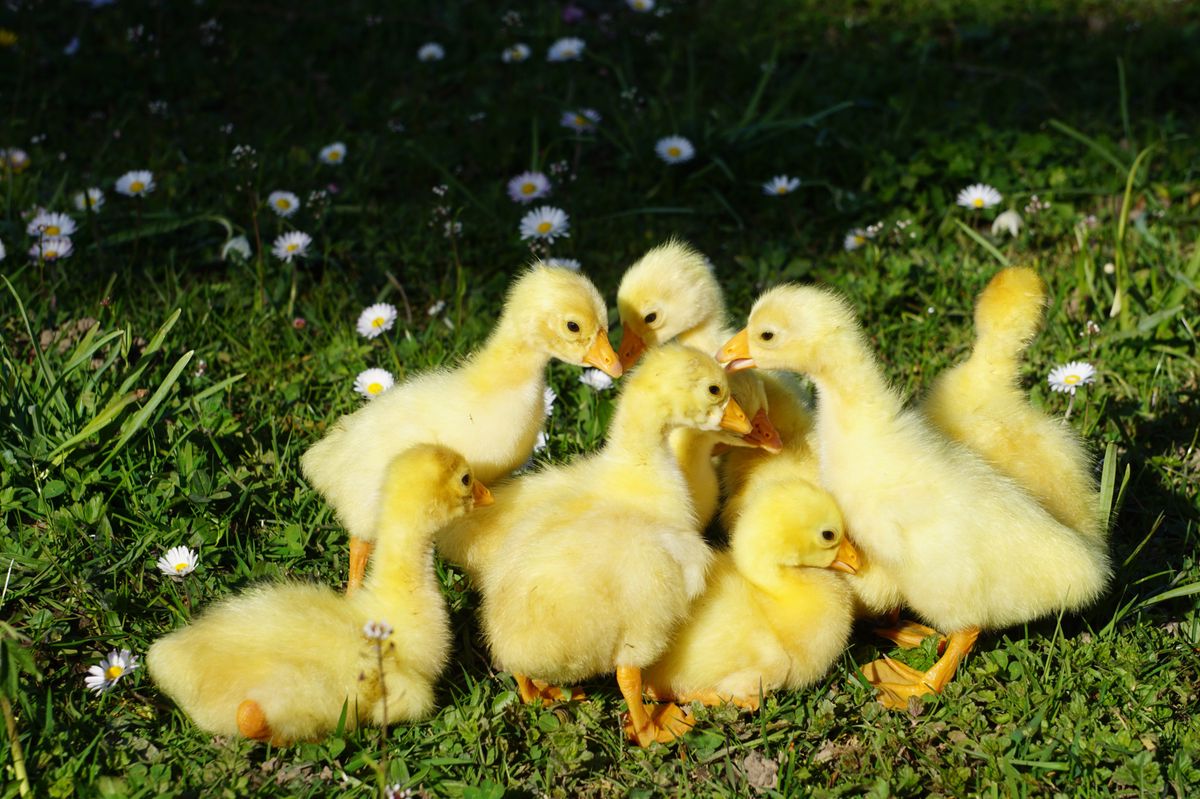 Bilder des Monats – Mai: Das sind die schönsten Leserbilder des Monats