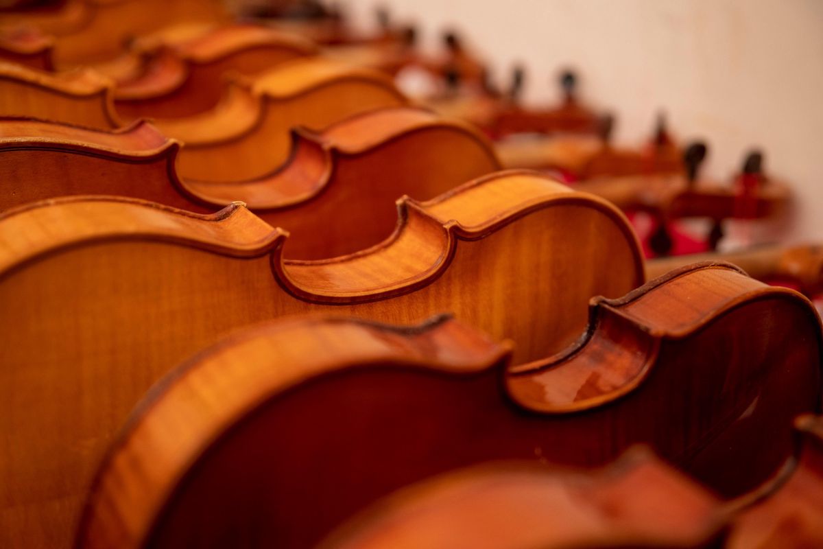 Depuis sa création, la Fondation Lalive compte 199 étudiants ayant bénéficié du prêt d’un instrument à cordes.