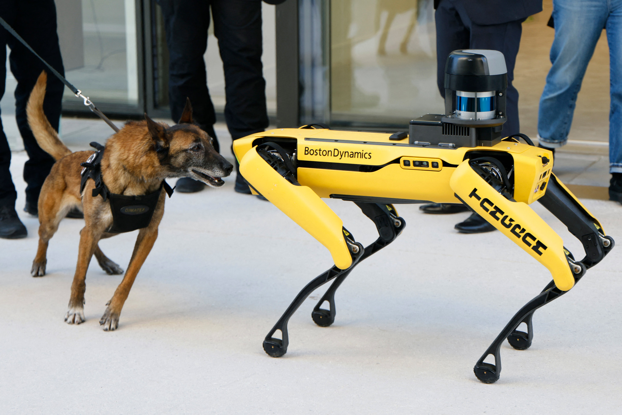Fussball-Weltmeisterschaft 2026: Roboter-Hunde patrouilliere