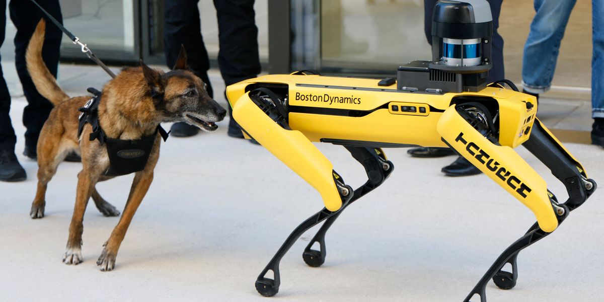 Fussball-Weltmeisterschaft-2026-Roboter-Hunde-patrouillieren-w-hrend-WM-in-Dallas-und-New-York