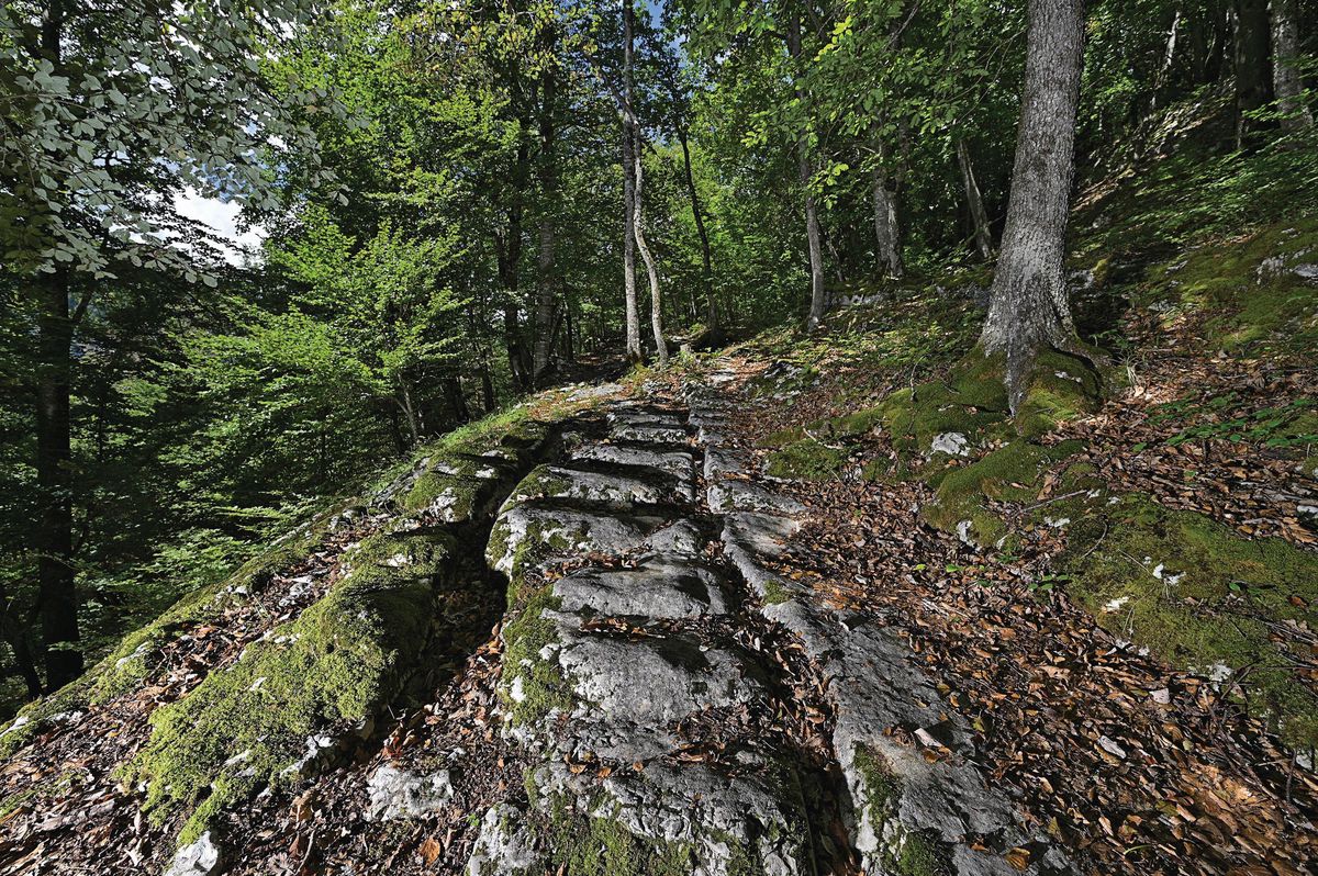 Parmi les 45 itinéraires proposés par «Le passé pas à pas», on trouve le magnifique passage sur les voies à ornières de la Via Salina, dans la Côte de Vuiteboeuf, non loin de Sainte-Croix (volume II).