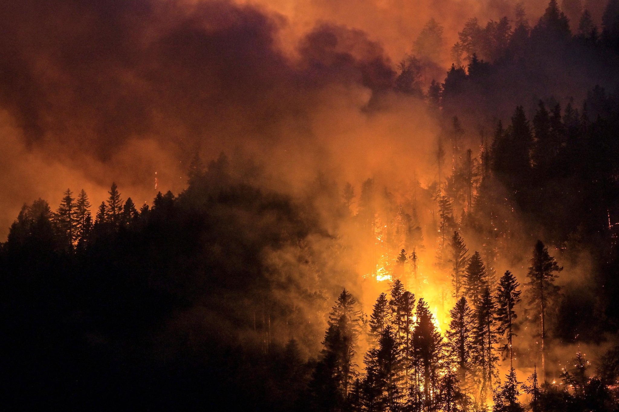 Le changement climatique provoque des catastrophes naturelles toujours plus nombreuses. Comment y réagirions-nous si nous y étions confrontés? 