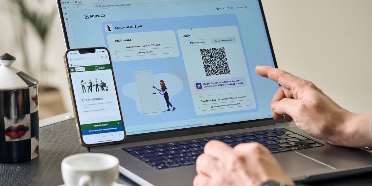 STEUERPORTAL UND BALTAX ONLINE visual data 2