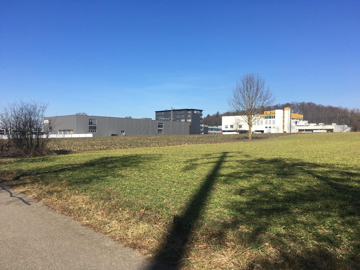 Wohnen in Kloten Nachbar kämpft bis vor Bundesgericht gegen TinyHouseProjekt Zürcher