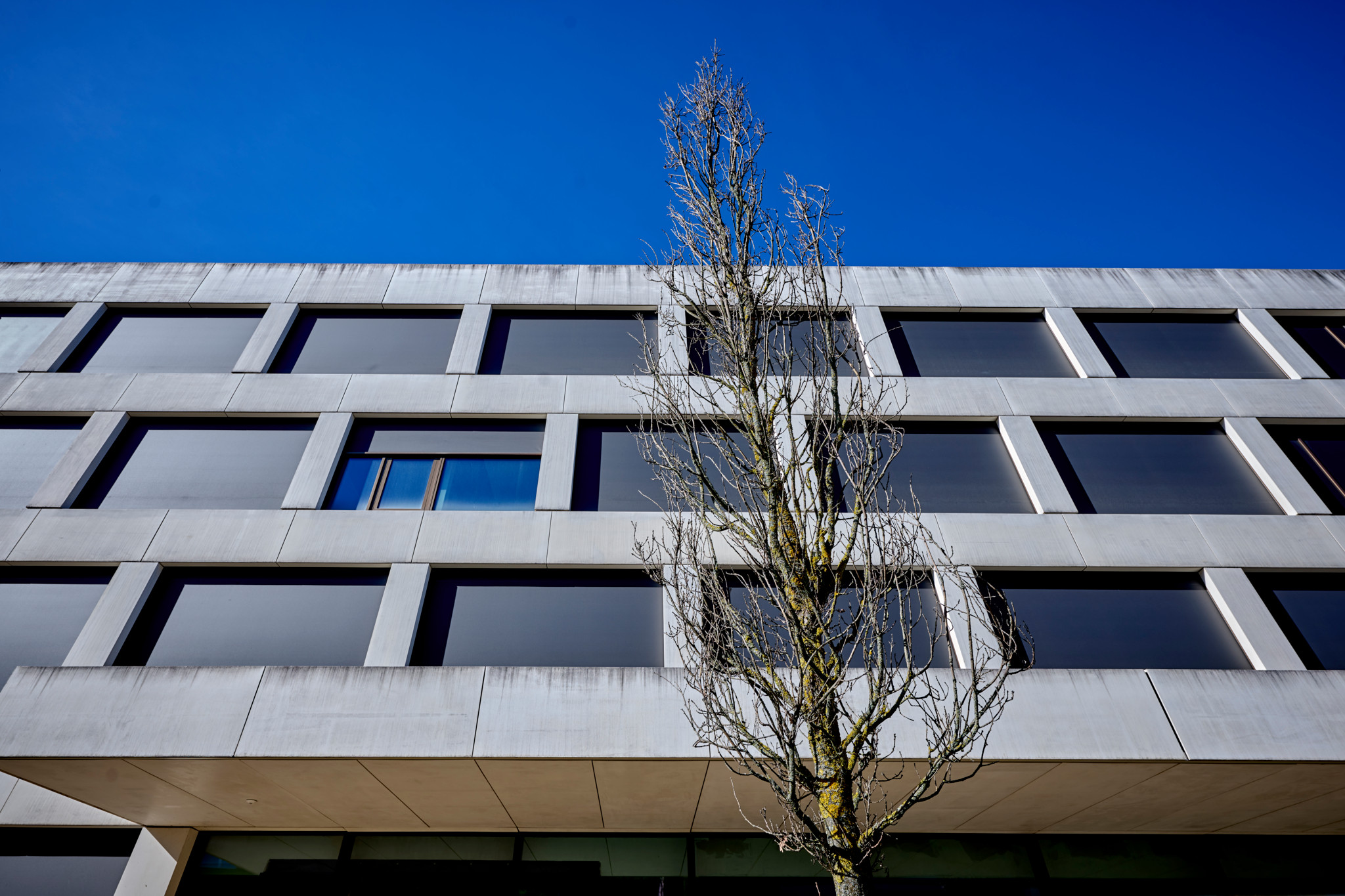 Geldberater zum Gemeinschaftskonto: Vier Eigentümer, ein Konto – und nur einmal 100’000 Franken Schutz