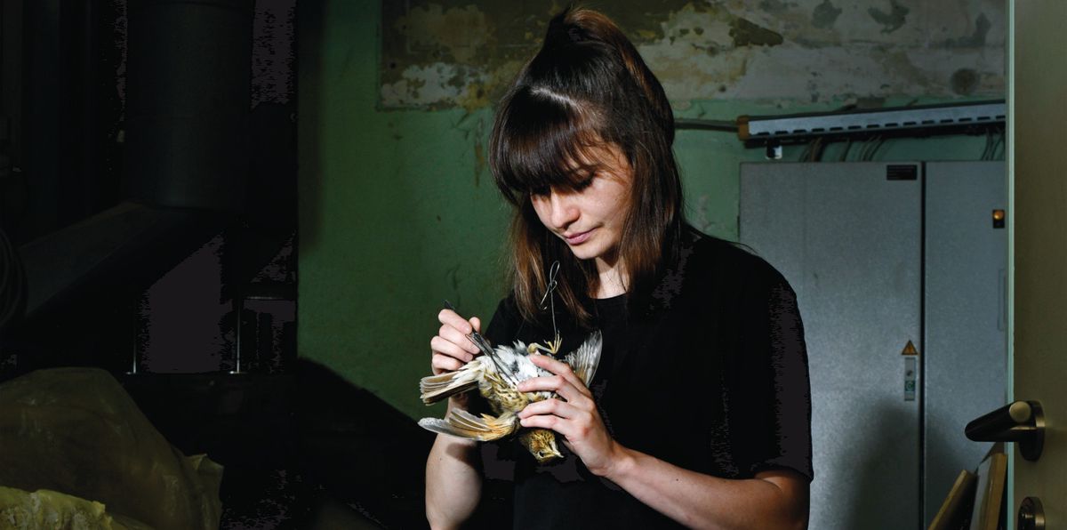 L’expo XL du Naturéum se décline sur papier