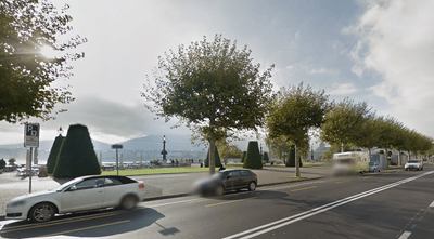 Ils plantent des arbres en secret pour les «offrir aux citoyens»