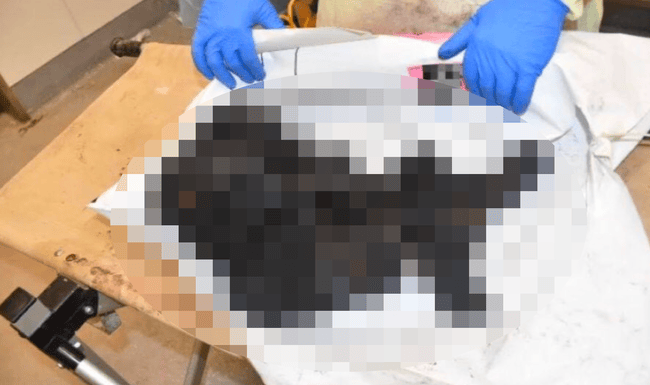 An diesem Bild, das auf der Plattform X (ehemals Twitter) geteilt wird, scheiden sich die Geister – die von Online-Tools, die automatisch erkennen können sollen, ob Bilder KI-generiert sind, und die von menschlichen Experten für digital bearbeitete Bilder. Davon berichtet das US-Magazin 404 Media.