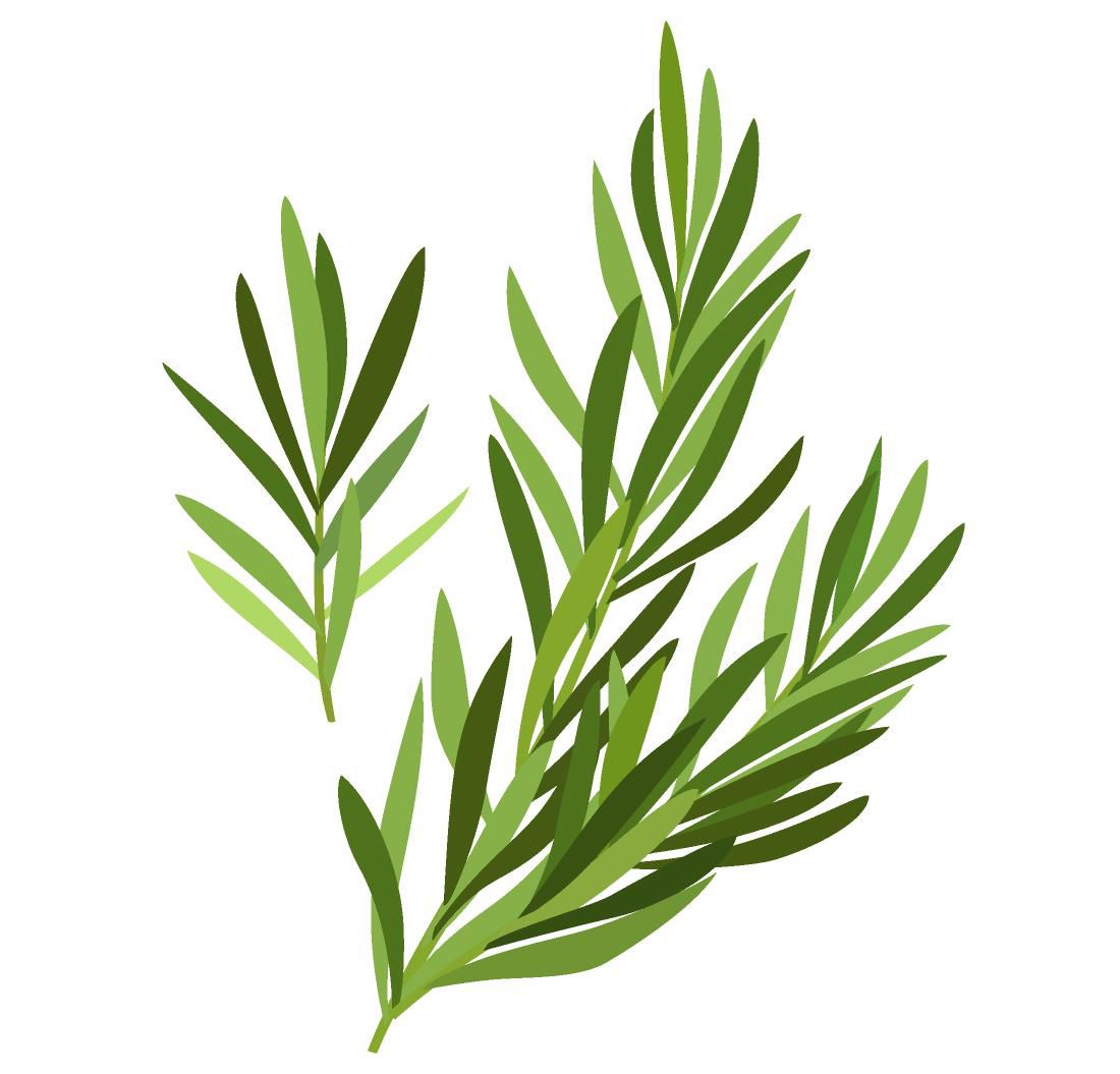 La caresse du petit dragon