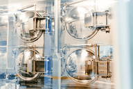 Batteriezellen: Leclanché soll 74,2 Mio. € aus EU-Innovationsfonds erhalten