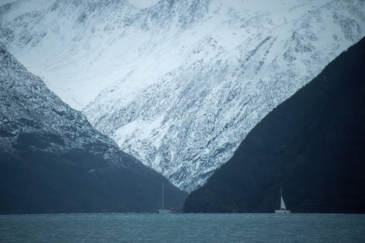 Voiliers dans le fjord de Skjervoy, Norvège, avec montagnes enneigées, le 15 novembre 2024, dans l’Arctique.