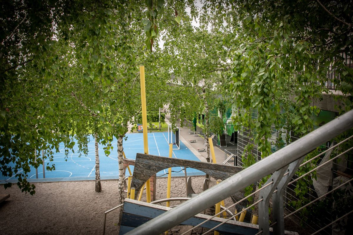 Auf der Dreirosenanlage sorgen Gewalt, Drogen und Littering seit Jahren für Unzufriedenheit bei Anwohnerinnen und Anwohnern.