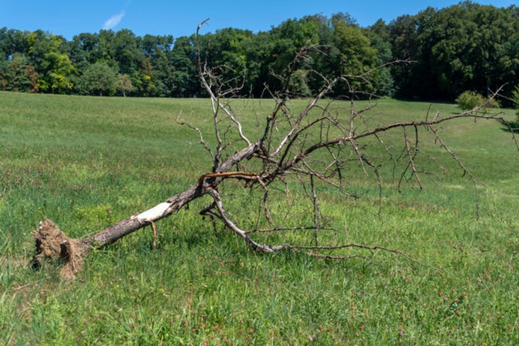 Environnement: Berne dégaine le porte-monnaie