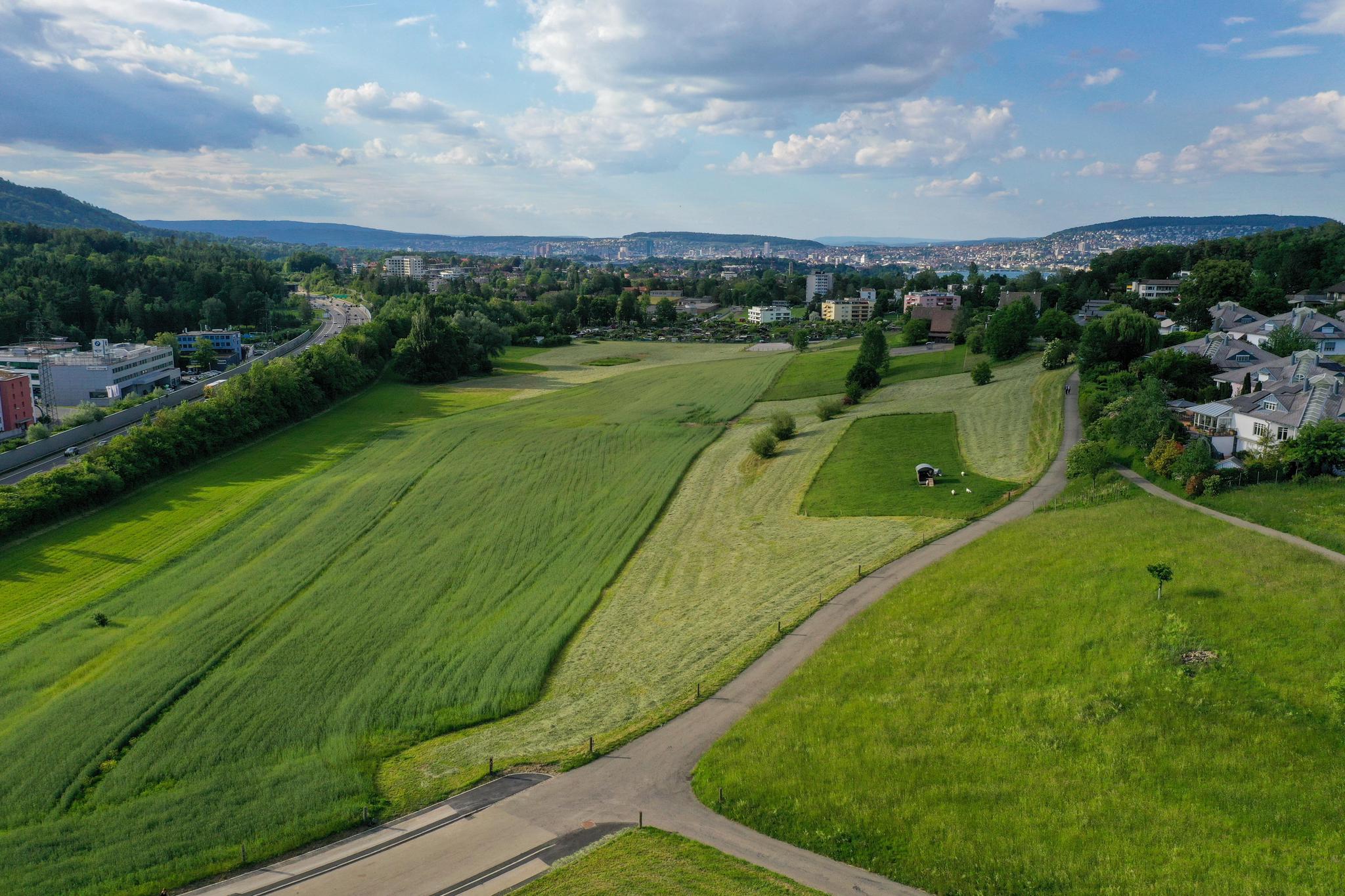 Gegen die geplante Entwicklung des unverbauten Gebiets Laetten regt sich aus der Anwohnerschaft Widerstand. Die IG "Schuetzt den Laetten" will keine Industrie im Laetten.19.5.20,  Bild: Manuela Matt 
manuelamatt.ch