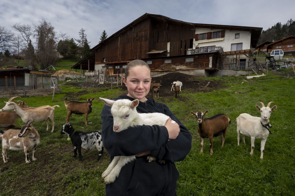 À Arveyes (Villars-sur-Ollon), Gwendoline Nicolier mesure toutes les difficultés du métier d’agriculteur. Mais ce dernier lui a aussi offert une véritable passion pour les animaux.