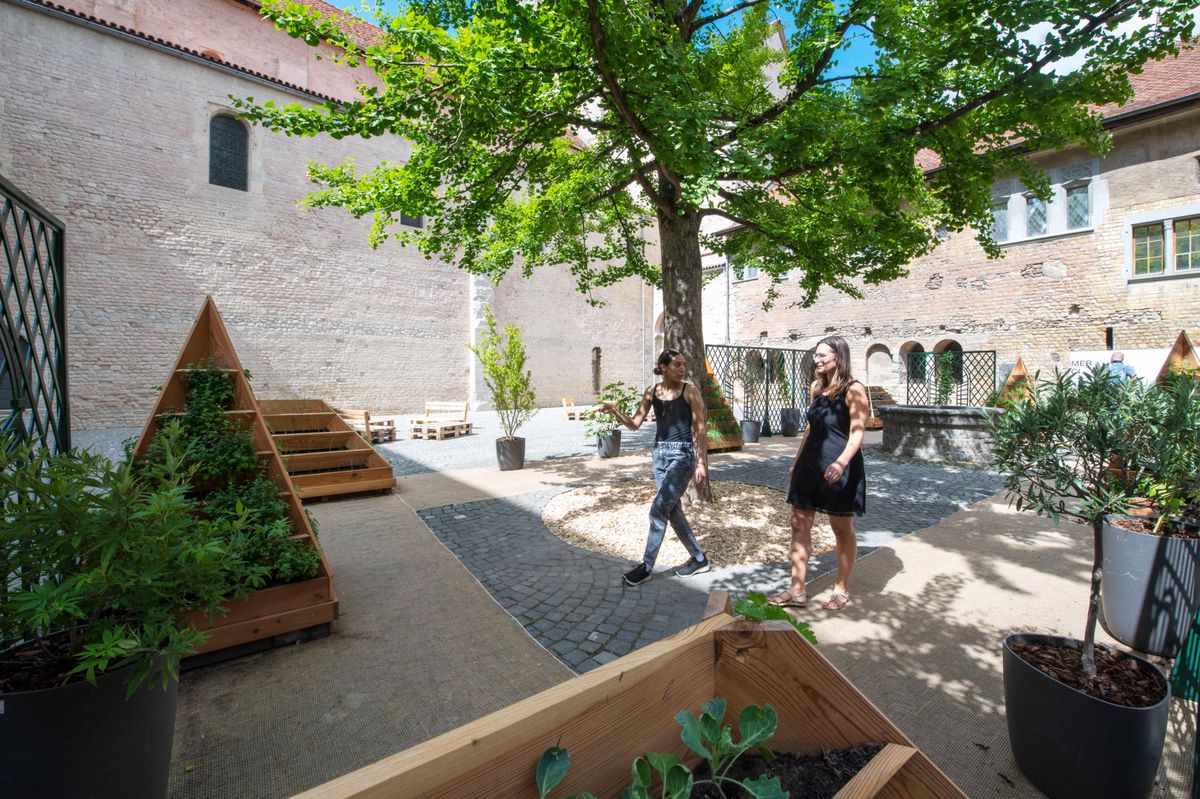 PAYERNE LE 7  JUILLET 2022. Durant l’été, du 9 juillet au 14 août, l’Association du site de l’Abbatiale de Payerne (ASAP) présente le «Jardin des moines» pour les familles. Jardin éphémère dans l’ancien préau du cloître, il offrira aux visiteurs un lieu de détente et d’exploration avec des plantes aromatiques et médicinales à voir, sentir et cueillir, des animations musicales, ateliers pour les enfants©  (Jean-Paul Guinnard/24 Heures)