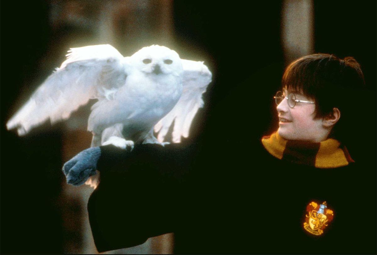 La nouvelle série «Harry Potter» devrait couvrir les sept années passées par le jeune sorcier à Poudlard. 