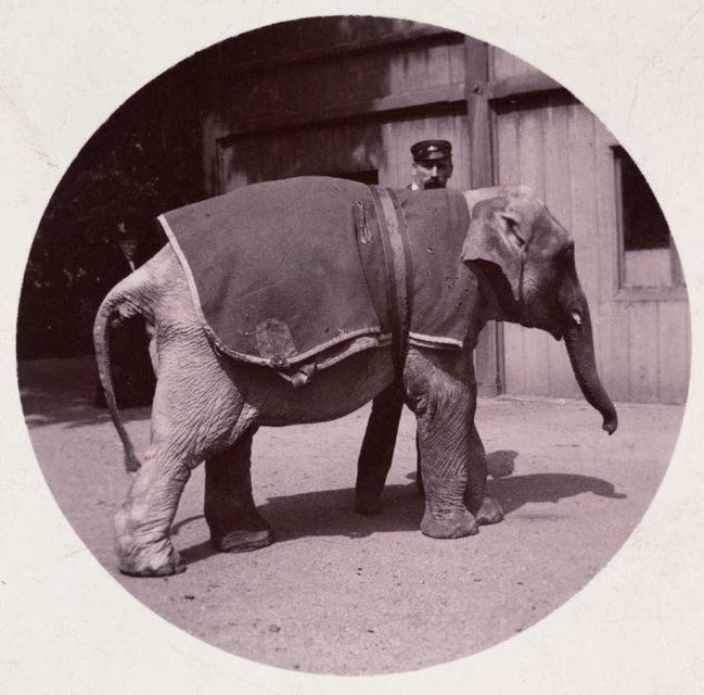 Catalogue Général Appareils Photo Kodak – Janvier 1916, Très Rare