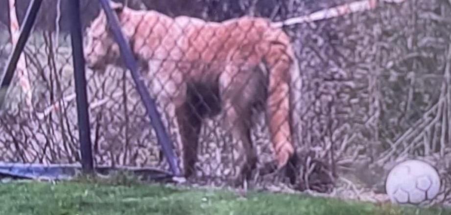 La police cantonale vaudoise avait déployé un important dispositif à Epalinges.