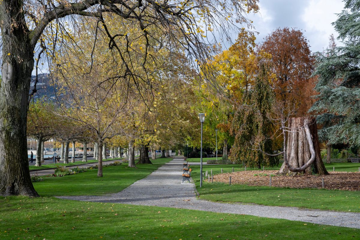 Parc de La TourdePeilz Le Jardin Roussy à l'aube d'une vaste