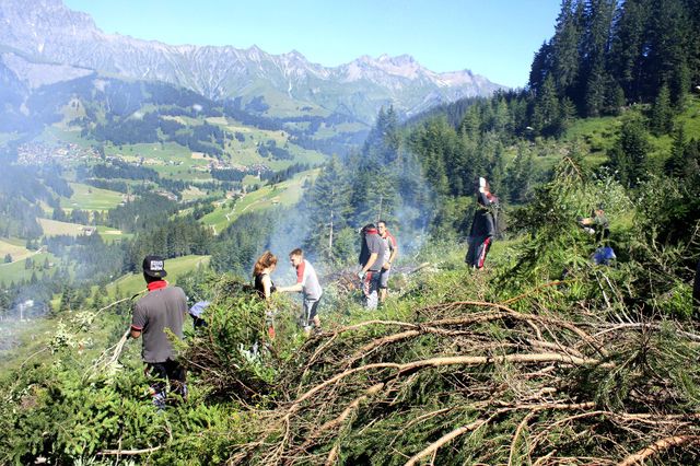 Planzer-Lehrlinge machen eine Alpweide urbar | Berner Zeitung