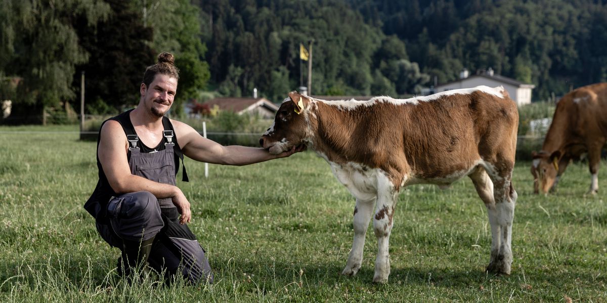 Schweizer Milch: So kämpfen Berner Höfe um ihre Existenz