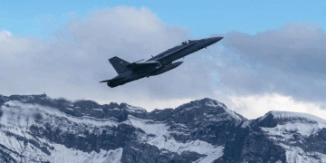 GIF resized on https://ezgif.com/resize