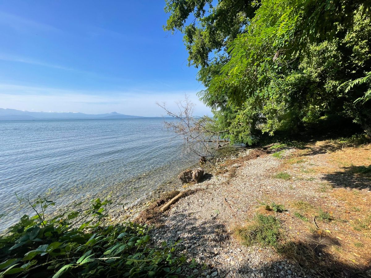 Une plage proche de l'embouchure de l'Eau noire, à Allaman. C'est là que le prévenu aurait laissé la victime, encore vivante selon ses dires. Photo prise le 15 août 2024 par Patrick Martin/24HEURES.