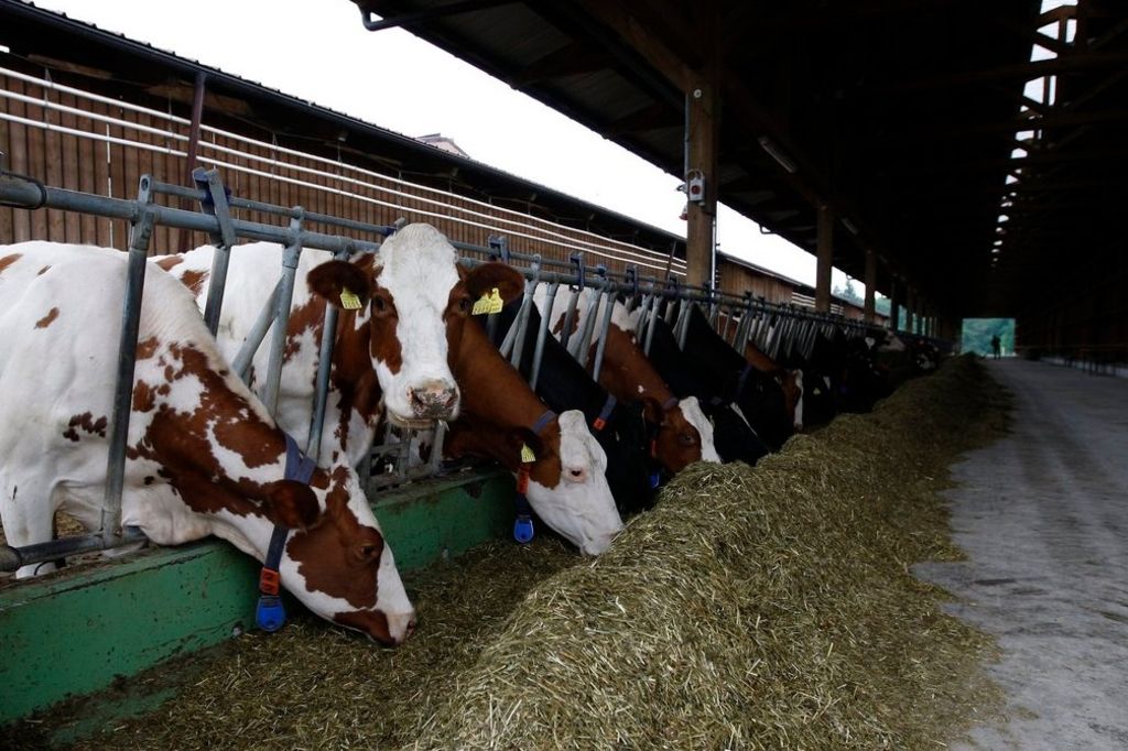 Subventions réduites pour plus de 7000 agriculteurs