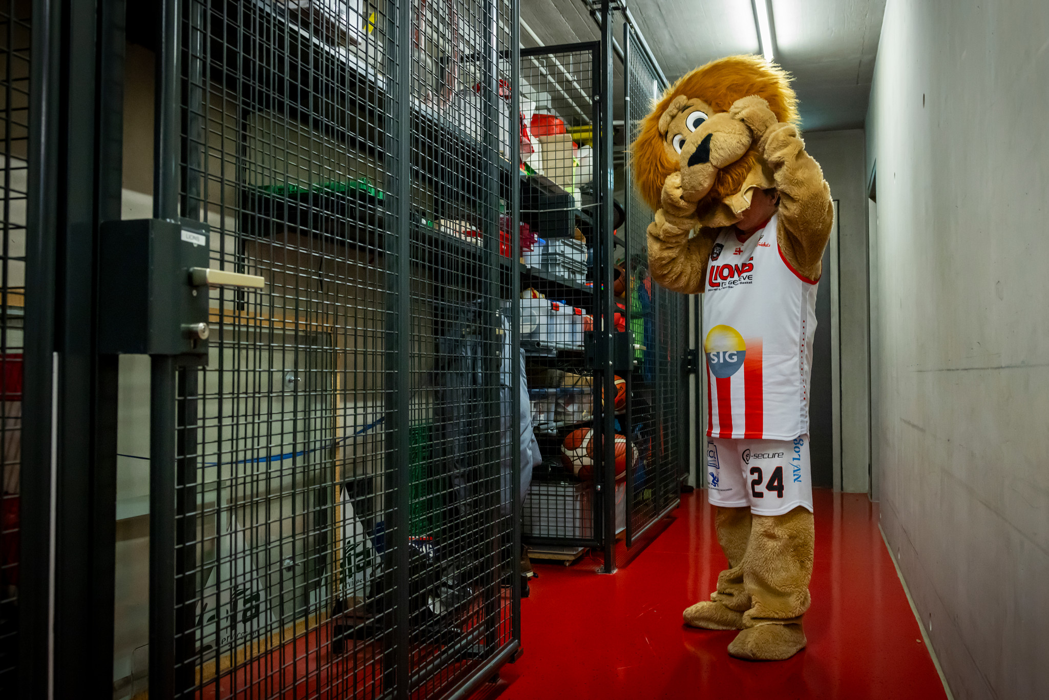 Basket à Genève: Dans la peau de la mascotte des Lions