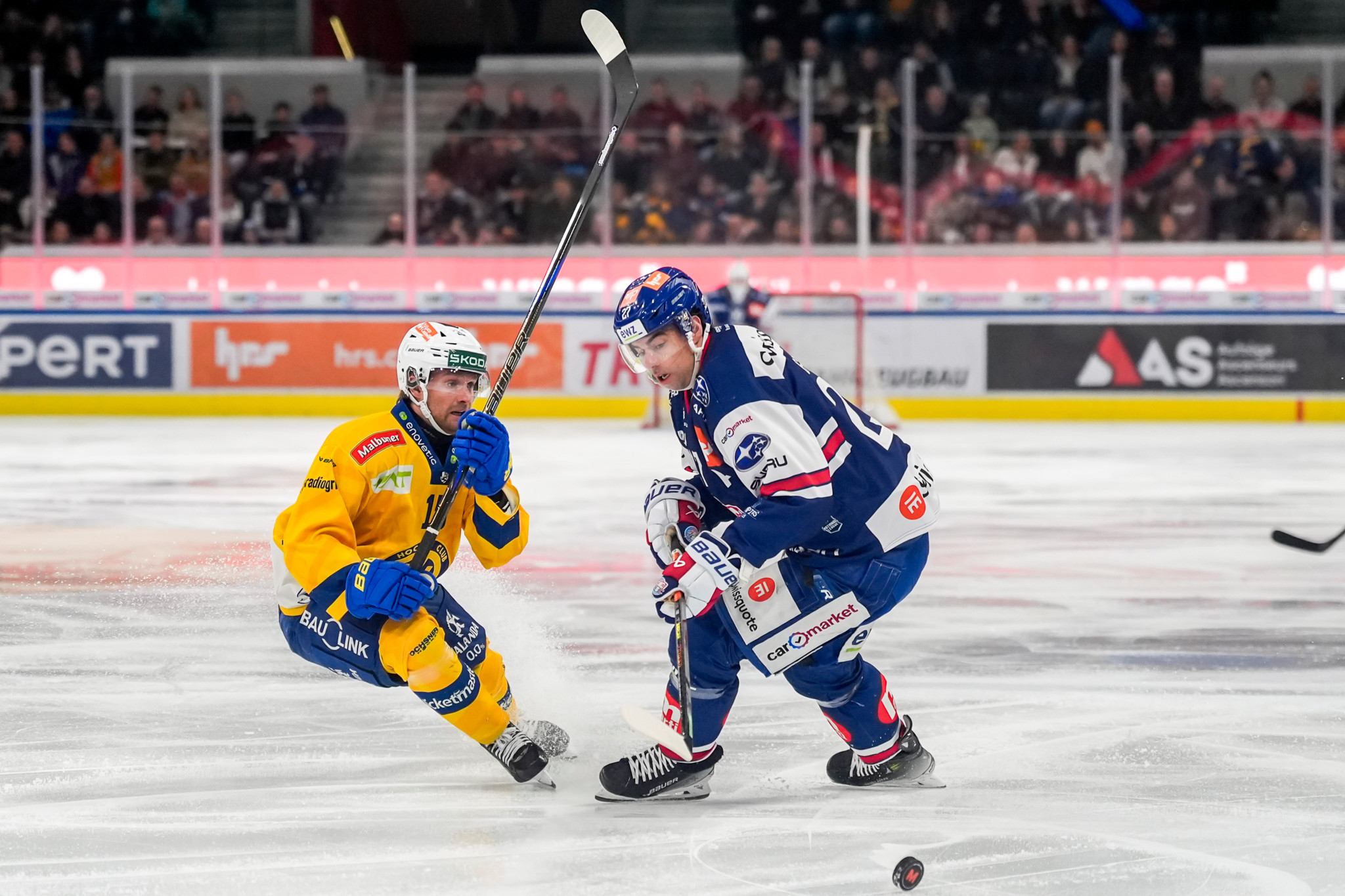 Playoff-Halbfinals: «Fertig mit dem Scheissdreck»: Zeigt der ZSC dem HCD auch diesmal den Meister?