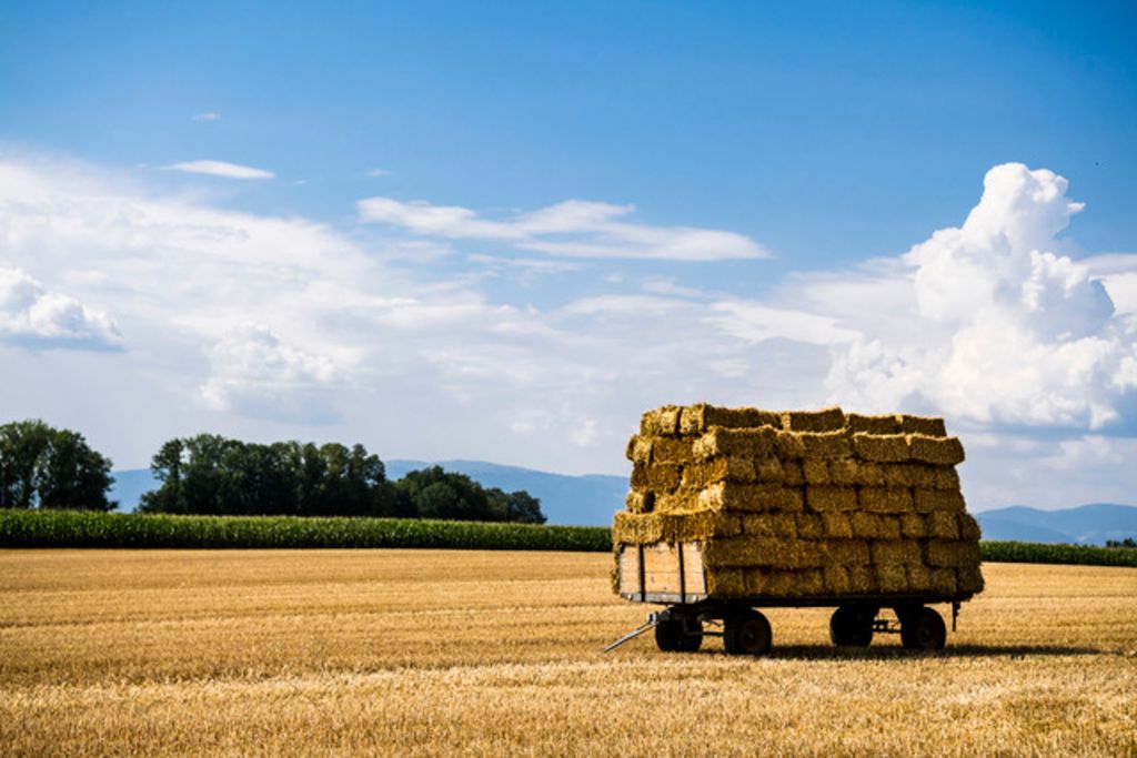 Le Conseil fédéral précise sa stratégie agricole
