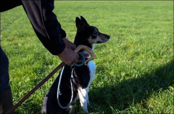 Selon les députés, les cours organisés il y a quelques années ont fait leur preuve.