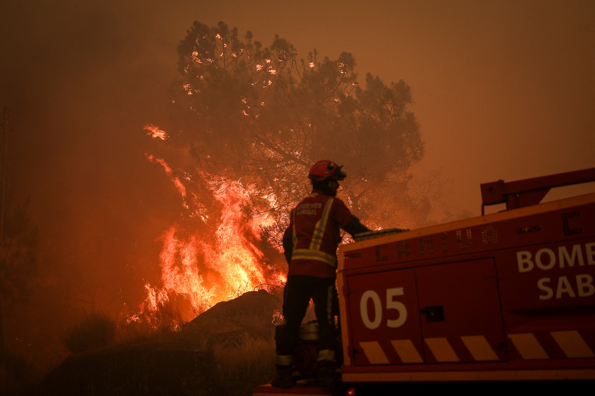 Incendie en Europe: Un feu de forêt ravage 64’000 hectares au Portugal, un record image