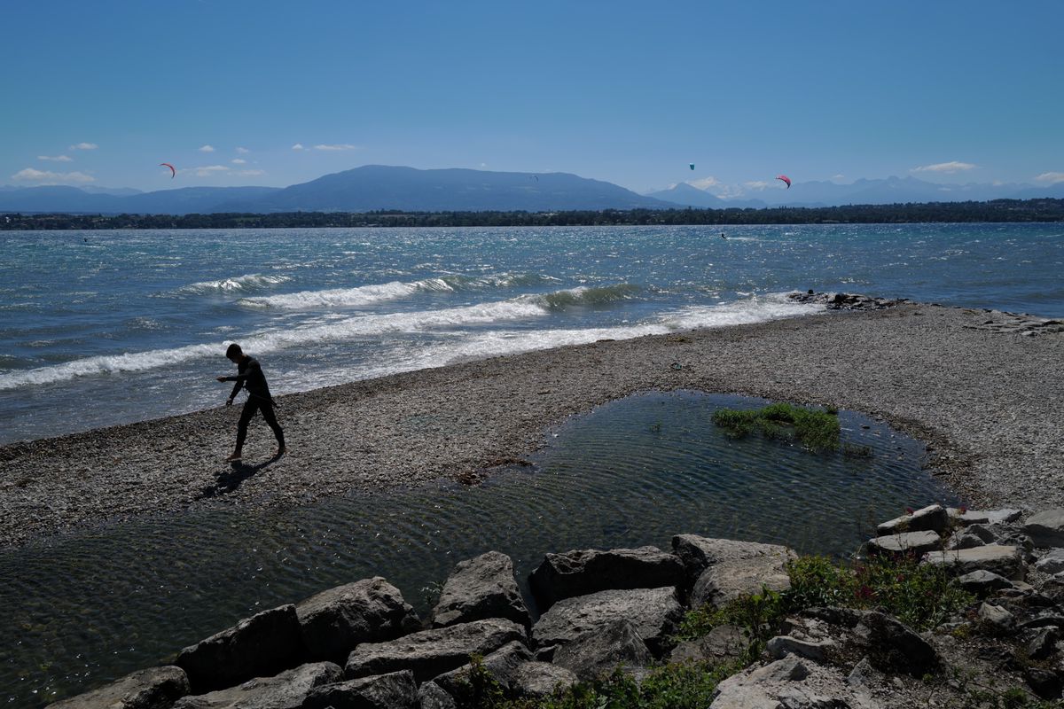 La plage de la Bécassine est située près de l’embouchure de la Versoix. Propriété de l’État, ce lieu de baignade qui propose un accès aisé au lac est très fréquenté… et désormais interdit aux chiens.